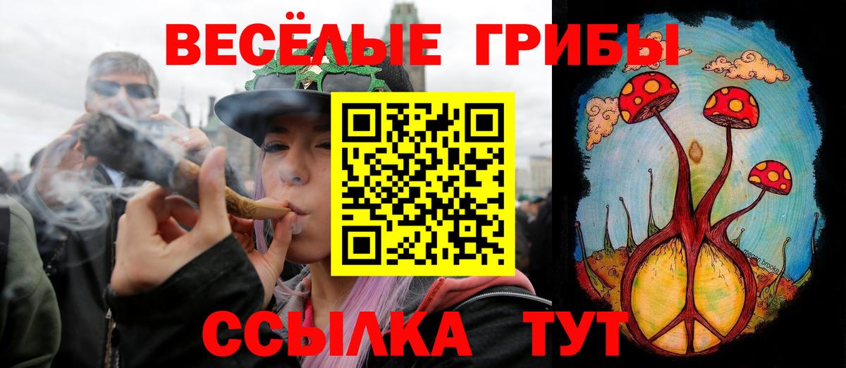 Псилоцибиновые грибы Cubensis  Вход с VPN  Балтийск 